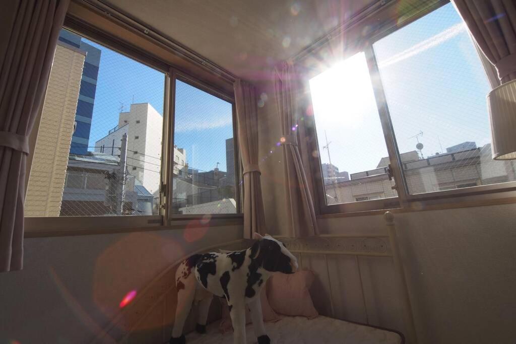 【Great Location!】Near Shinjuku Sta./Girls #302 Apartment Tokyo Luaran gambar